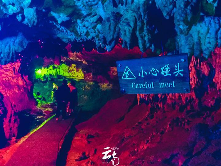 奇异人生2